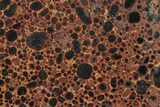 Polished Bauxite (Aluminum Ore) Slab - Australia #280164-1